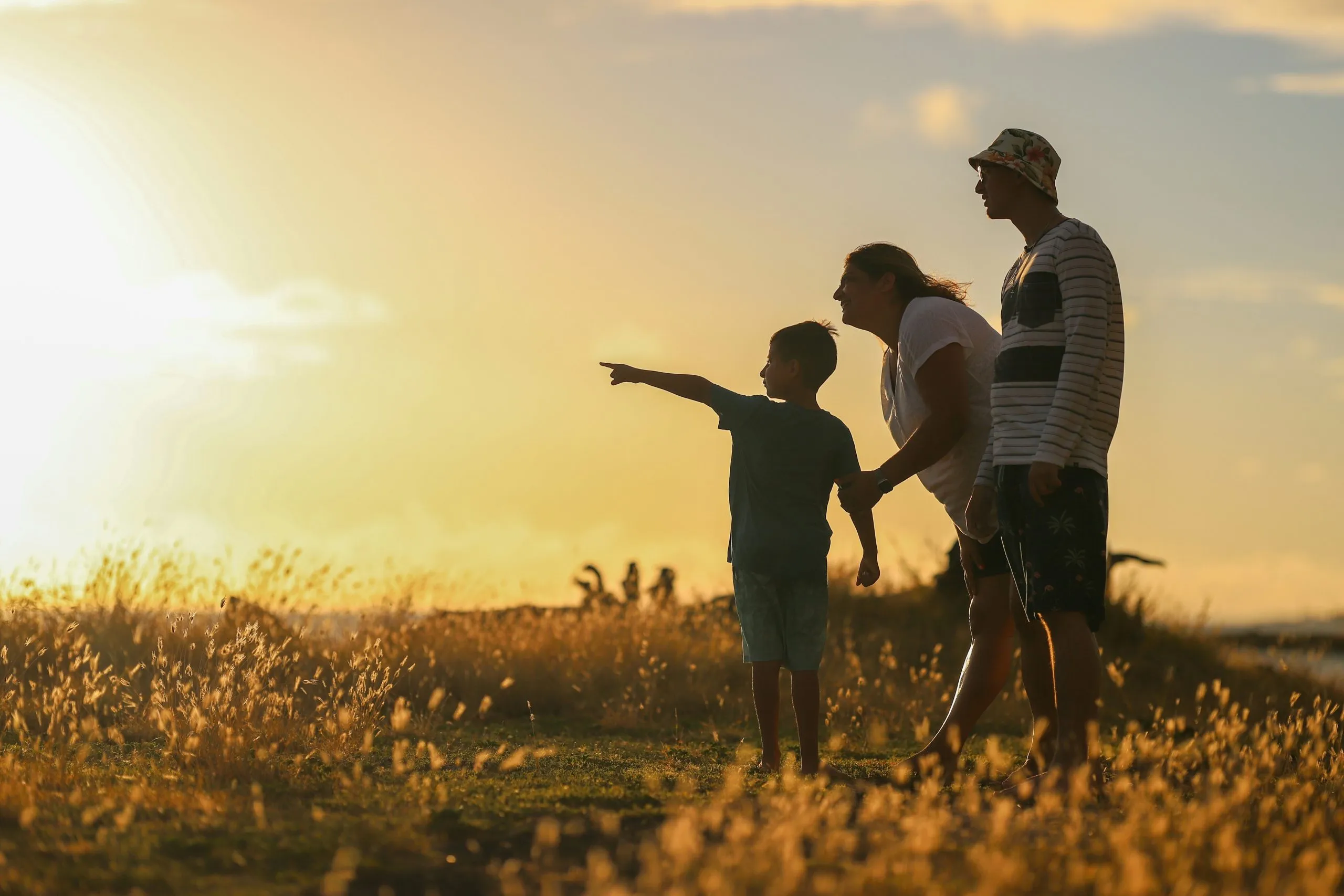 Silhouette d'une famille contemplant le coucher de soleil dans les herbes hautes.